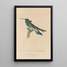 Histoire naturelle des oiseaux-mouches Pl01 - René Primevère Lesson — gerahmtes Bild an der Wand