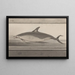 Histoire naturelle de Saint-Domingue Pl062 - René de Rabi — gerahmtes Bild an der Wand