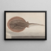 Naturgeschichte von Saint-Domingue Pl080 - René de Rabi — gerahmtes Bild an der Wand