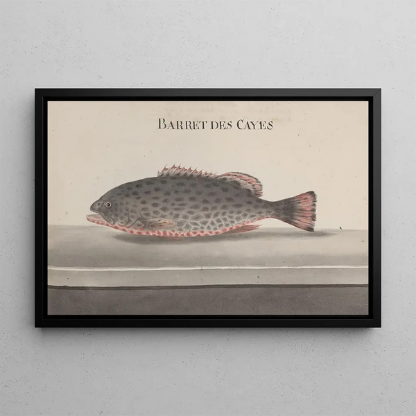 Naturgeschichte von Saint-Domingue Pl084 - René de Rabi — gerahmtes Bild an der Wand