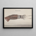 Naturgeschichte von Saint-Domingue Pl099 - René de Rabi — gerahmtes Bild an der Wand