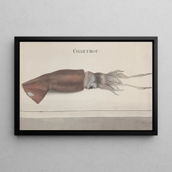 Naturgeschichte von Saint-Domingue Pl099 - René de Rabi — gerahmtes Bild an der Wand