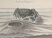 Naturgeschichte von Saint-Domingue, Pl. 120 - René de Rabi — Ansicht des Kunstwerks