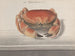 Naturgeschichte von Saint-Domingue Pl125 - René de Rabi — Ansicht des Kunstwerks