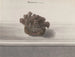 Geschichte der Natur von Saint-Domingue Pl. 127 - René de Rabi — Ansicht des Kunstwerks