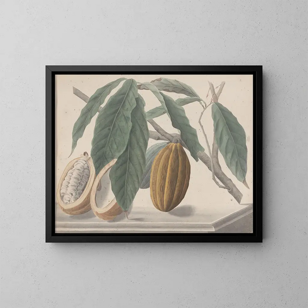 Naturgeschichte von Saint-Domingue Pl136 - René de Rabi — gerahmtes Bild an der Wand