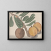 Naturgeschichte von Saint-Domingue Pl140 - René de Rabi — gerahmtes Bild an der Wand