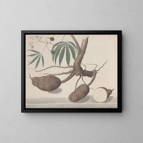 Naturgeschichte von Saint-Domingue Pl147 - René de Rabi — gerahmtes Bild an der Wand