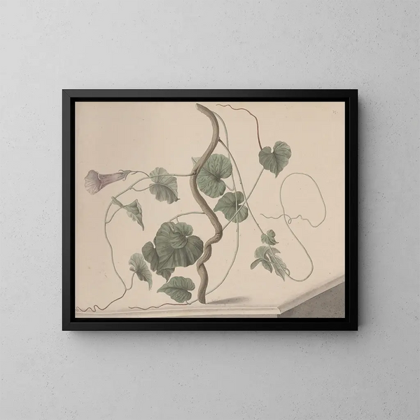 Naturgeschichte von Saint-Domingue Pl168 - René de Rabi — gerahmtes Bild an der Wand
