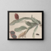 Naturgeschichte von Saint-Domingue Pl174 - René de Rabi — gerahmtes Bild an der Wand