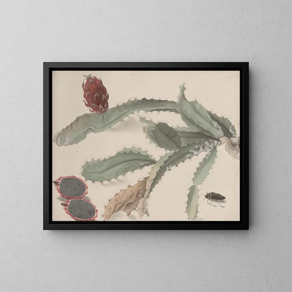 Naturgeschichte von Saint-Domingue Pl174 - René de Rabi — gerahmtes Bild an der Wand