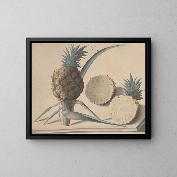 Histoire naturelle de Saint-Domingue Pl. 183 - René de Rabi — gerahmtes Bild an der Wand