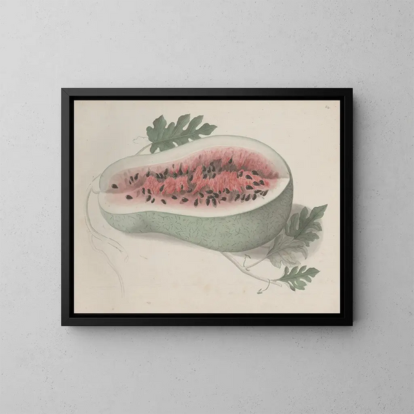Naturgeschichte von Saint-Domingue Pl190 - René de Rabi — gerahmtes Bild an der Wand
