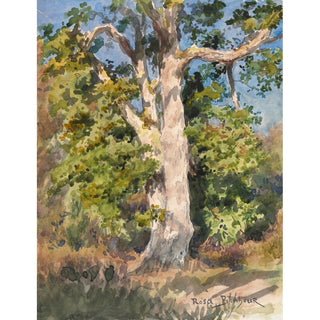 Reproduction Étude des arbres - Rosa Bonheur