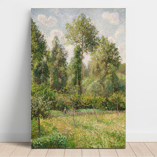 Reproduction Poplars, Éragny - Camille Pissarro