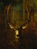 Hirsch im Ruhezustand in Colorado Springs - Richard La Barre Goodwin — Ansicht des Kunstwerks