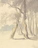 Studie der Hölzer - Robert Hills — Ansicht des Kunstwerks