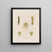 Anatomie der Hyazinthe - Robert John Thornton — gerahmtes Bild an der Wand