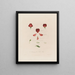 Anatomie des Duftbohnen - Robert John Thornton — gerahmtes Bild an der Wand