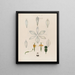Anatomie des weißen Lilies - Robert John Thornton — gerahmtes Bild an der Wand