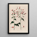 Nicotiana Tabac - Robert John Thornton — gerahmtes Bild an der Wand