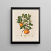 Orange - Robert John Thornton — gerahmtes Bild an der Wand