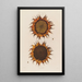 Sonnenblume reif - Robert John Thornton — gerahmtes Bild an der Wand