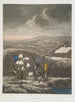 Der Schneeglöckchen - Robert John Thornton — Ansicht des Kunstwerks
