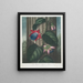 La Passiflore ailée - Robert John Thornton — gerahmtes Bild an der Wand