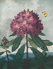 Le Rhododendron pontique - Robert John Thornton — Ansicht des Kunstwerks