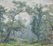 Saules anciens - Robert Reid — Ansicht des Kunstwerks