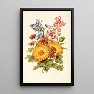 Robert Tyas - Columbine Marigold Pheasants Eye.webp