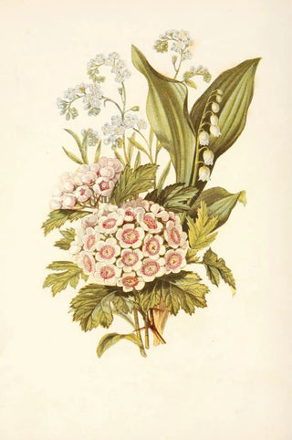 Robert Tyas - Forgetmenot Hawthorn Lily of the Valley.webp
