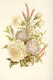 Veilchen Schneeglöckchen Weiße Rose Gemeine Heide - Robert Tyas — Ansicht des Kunstwerks
