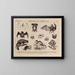 Atlas der Tierwelt Brasiliens Pl30 - Rodolpho von Ihering — gerahmtes Bild an der Wand