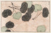 Shinsen moyo no shiori Pl17 - Rokkaku Shisui — Ansicht des Kunstwerks