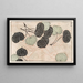 Shinsen moyo no shiori Pl17 - Rokkaku Shisui — gerahmtes Bild an der Wand