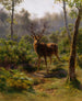 Ein Hirsch - Rosa Bonheur — Ansicht des Kunstwerks