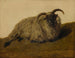 Le Mérinos - Rosa Bonheur — Ansicht des Kunstwerks