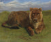 Löwin im Ruhestand - Rosa Bonheur — Ansicht des Kunstwerks