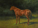 L'Automne rouge - Rosa Bonheur — Ansicht des Kunstwerks