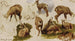Studien eines Gamsbocks - Rosa Bonheur — Ansicht des Kunstwerks