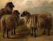 Drei wollige Schafe - Rosa Bonheur — Ansicht des Kunstwerks