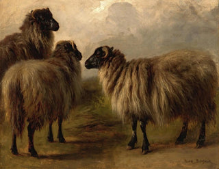 Drei wollige Schafe - Rosa Bonheur — Ansicht des Kunstwerks