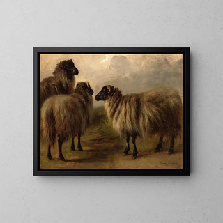 Drei wollige Schafe - Rosa Bonheur — gerahmtes Bild an der Wand