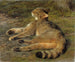 Wildkatze - Rosa Bonheur — Ansicht des Kunstwerks