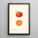 Citrus reticulata Dancy - Royal Charles Steadman — gerahmtes Bild an der Wand