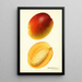 Mangifera indica Hayden - Royal Charles Steadman - Royal Charles Steadman — gerahmtes Bild an der Wand