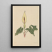 Buch der Blumen - Rudolf Koch — gerahmtes Bild an der Wand