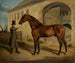 Pur-sang anglais Robert - Rudolf Kuntz — Ansicht des Kunstwerks